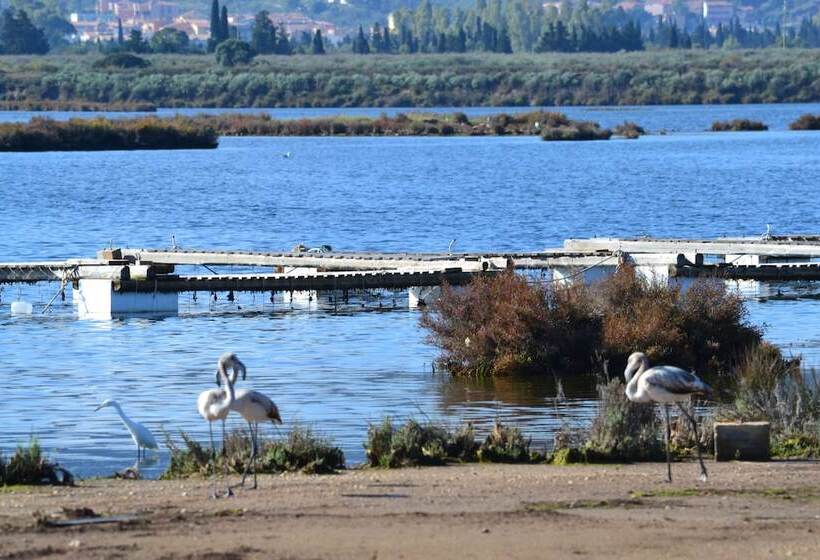 فندق Villaggio Porto Corallo