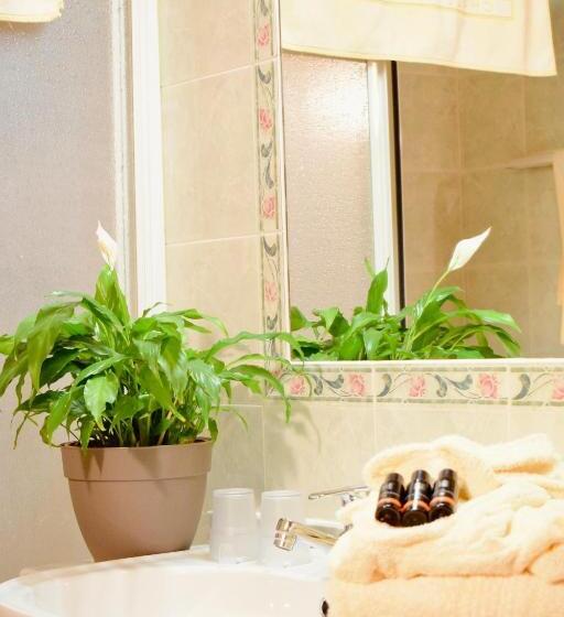 בית מלון כפרי Waldheim