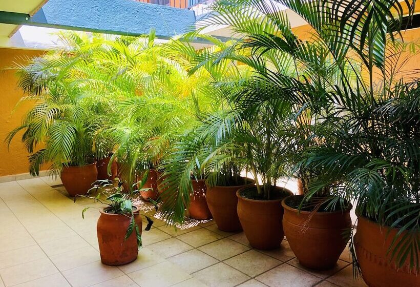 فندق Playa Del Parque By Rotamundos