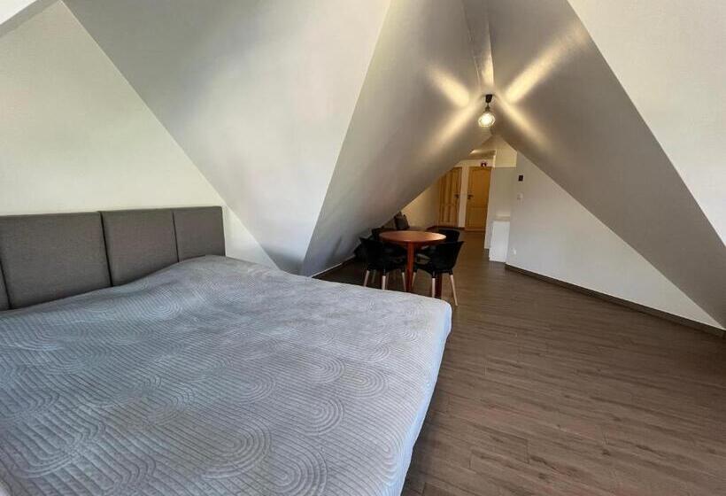 بنسيون Willa Modra