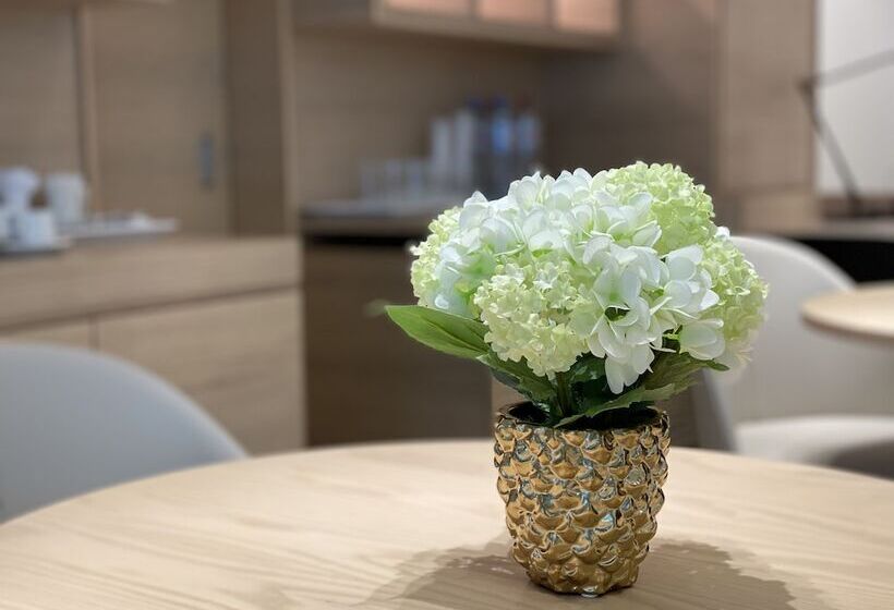 Sleep Lounge Terminal D   Hostel