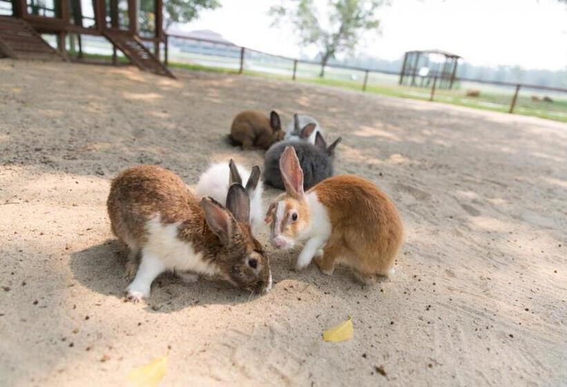 فندق Amverton Cove Golf & Island Resort