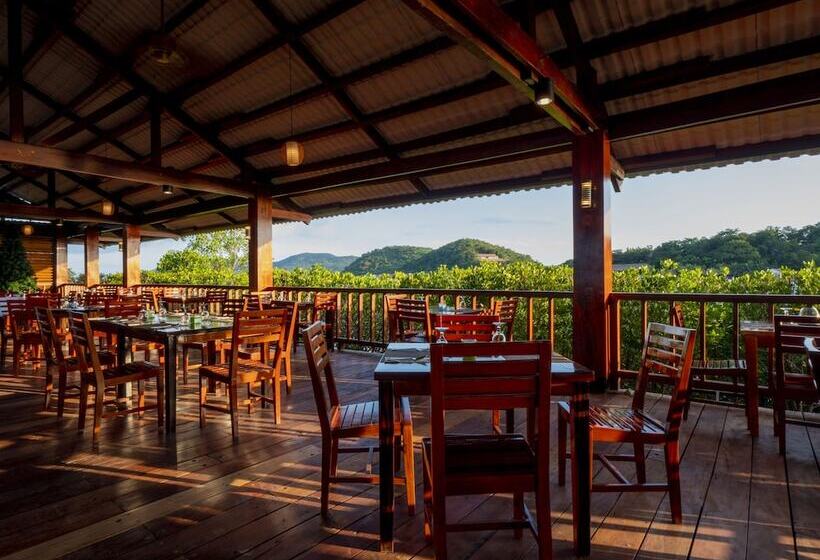 ホテル Sunlight Eco Tourism Island Resort