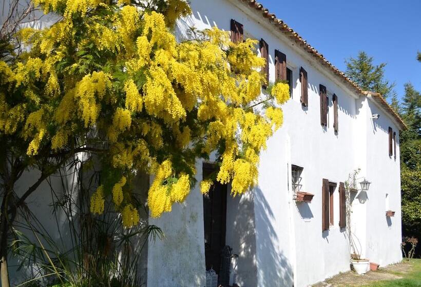 Ca Bianca Country House In Montefiore Conca