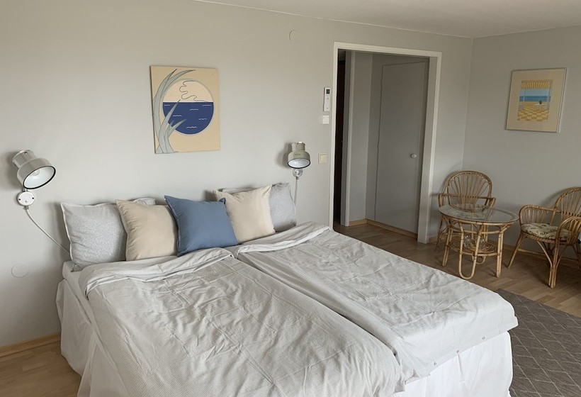 酒店 Hanöhus L Annex