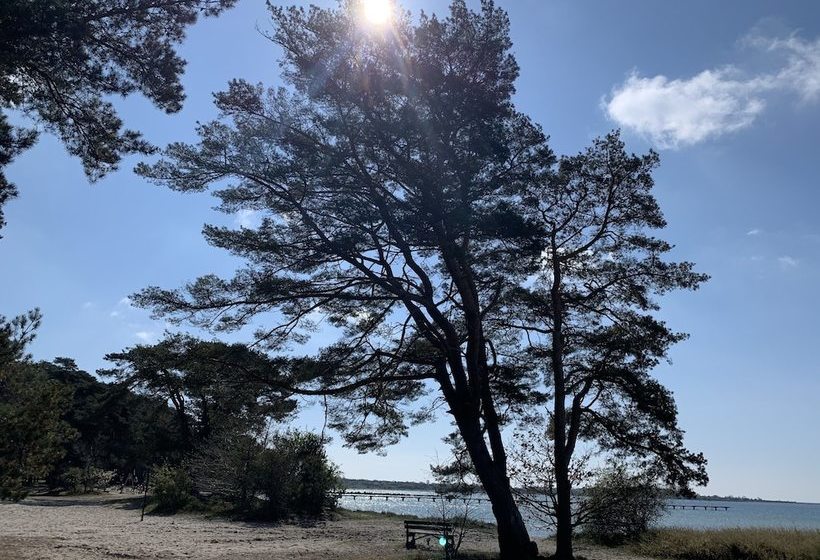 酒店 Hanöhus L Annex