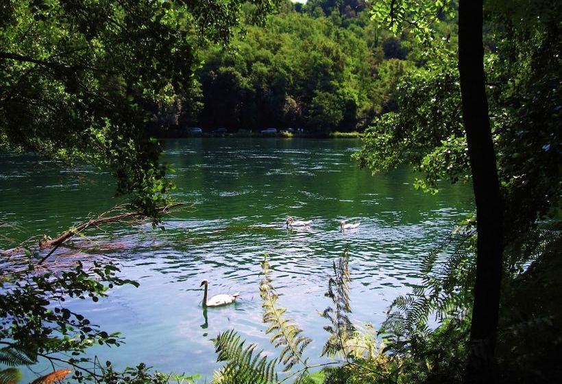 Nearby The Ticino River And The Lake Maggiore