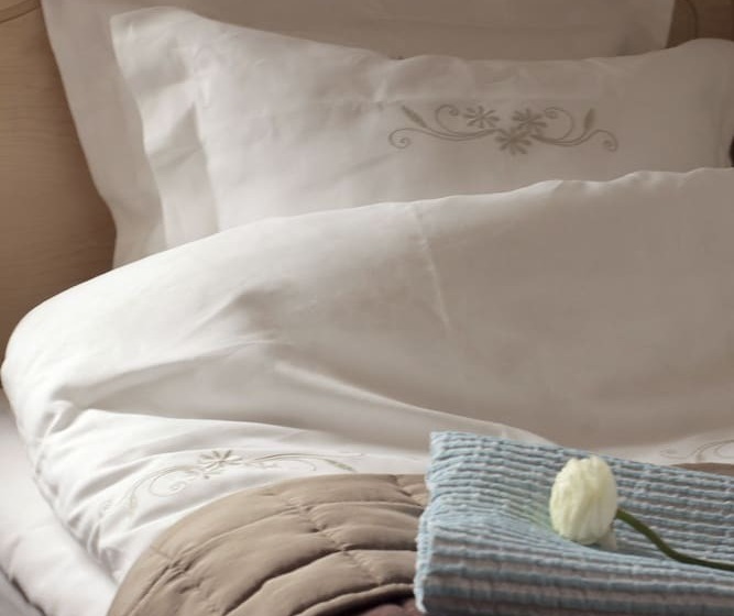 Bed and Breakfast Chinova Mötesgård