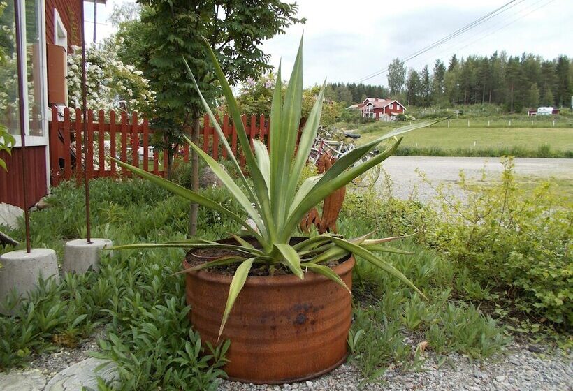 Bed and Breakfast Chinova Mötesgård