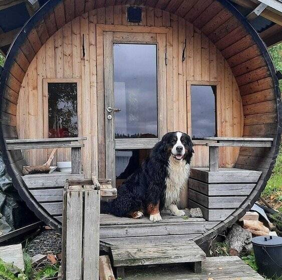 住宿加早餐  Vehkaniemi Holyday Estate