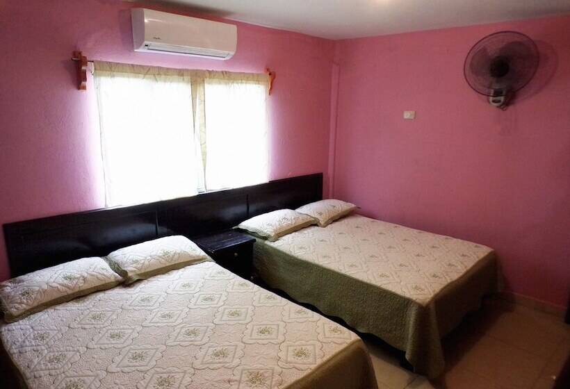 فندق فئة نجمة واحدة Posada Inkali Xilitla