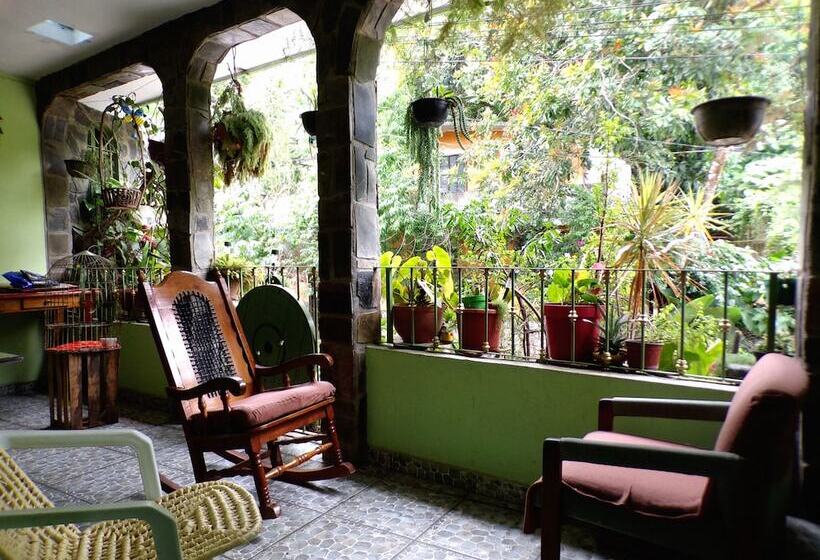 فندق فئة نجمة واحدة Posada Inkali Xilitla