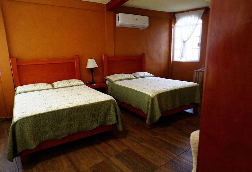 فندق فئة نجمة واحدة Posada Inkali Xilitla