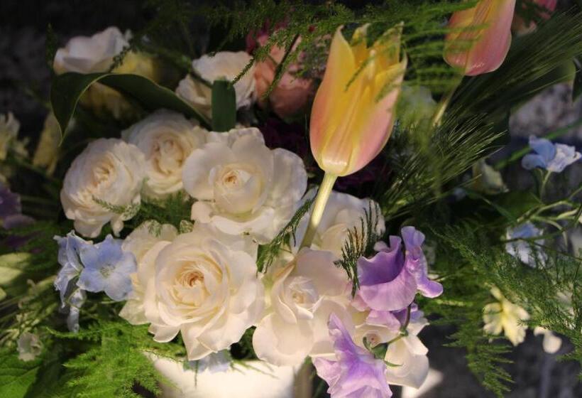 בית מלון כפרי Apio