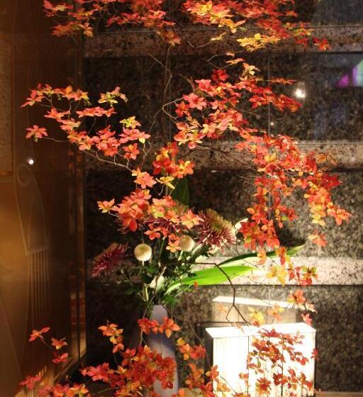 בית מלון כפרי Apio