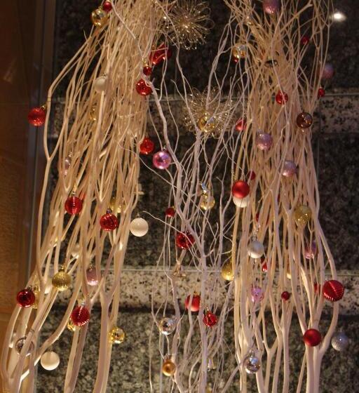 בית מלון כפרי Apio