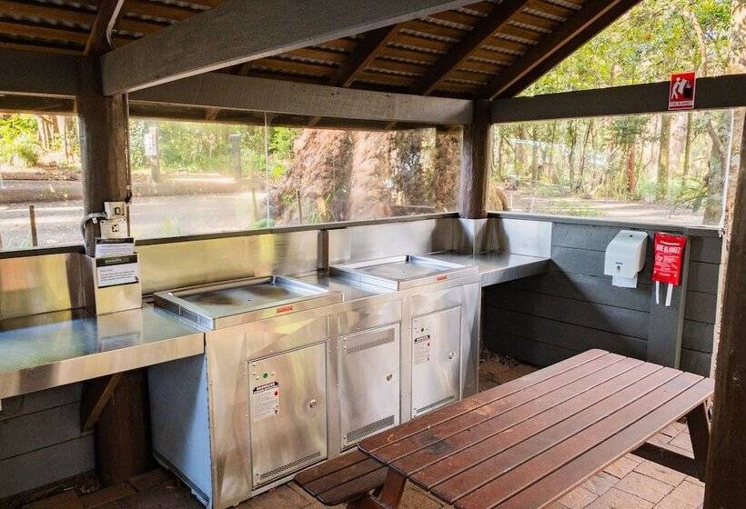 בית מלון כפרי Binna Burra Rainforest Campsite