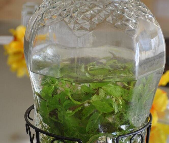 호텔 Cosmos Tergui Club