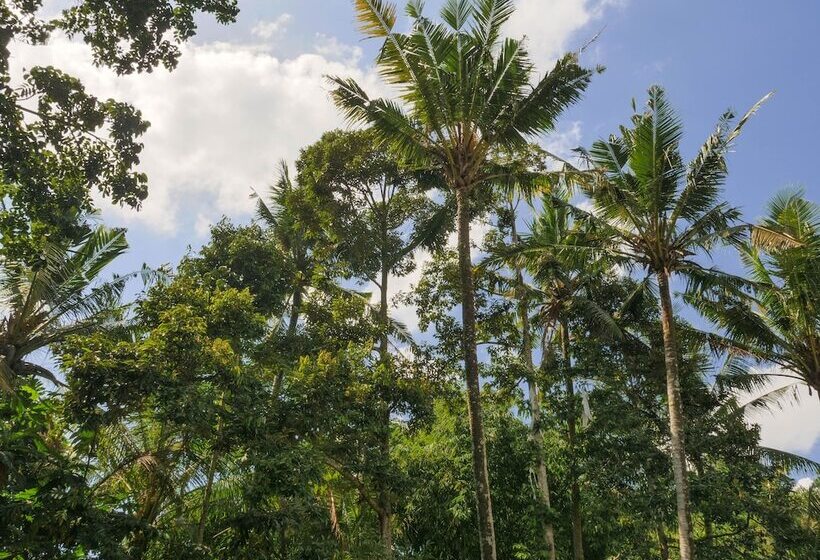 בית מלון כפרי Gunung An Retreat