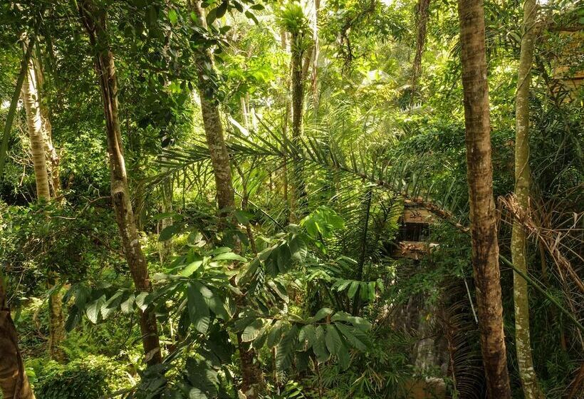 בית מלון כפרי Gunung An Retreat