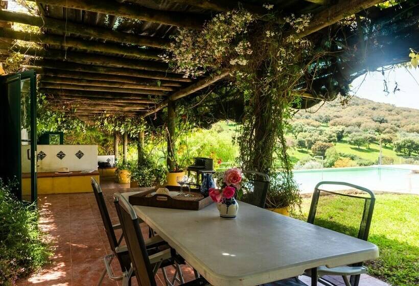 فندق House Is Located On A Corner