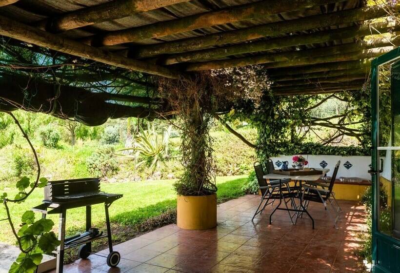 فندق House Is Located On A Corner