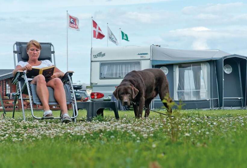 בית מלון כפרי Hygge Strand Camping