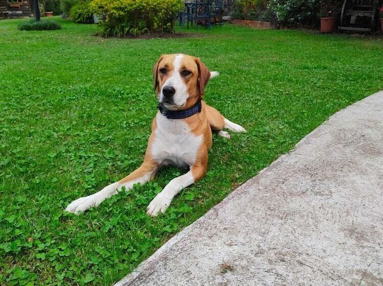 فندق Ilatoa Lodge