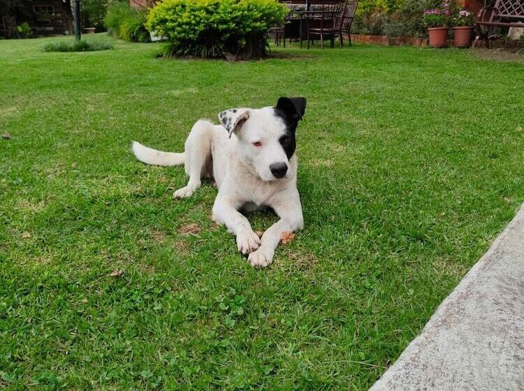 فندق Ilatoa Lodge