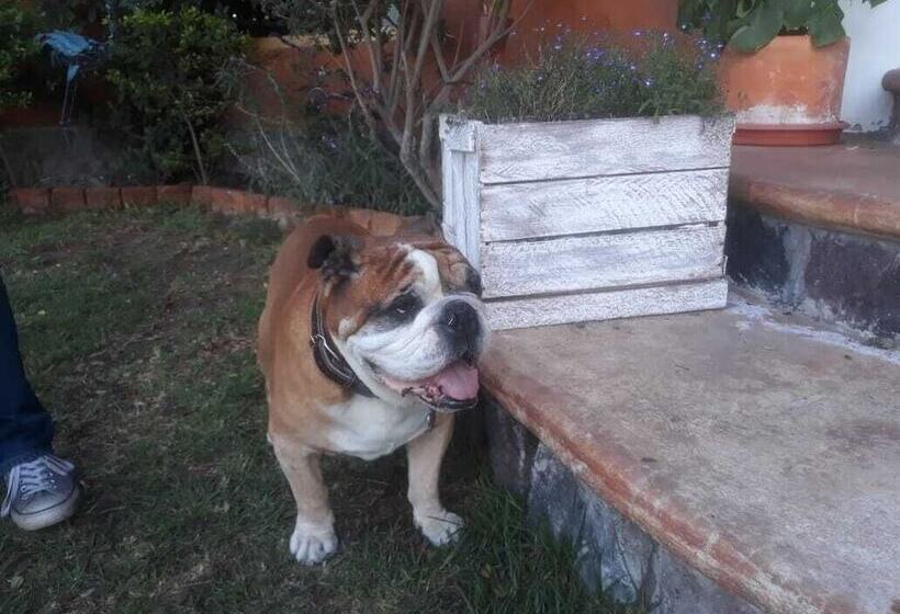 فندق Ilatoa Lodge