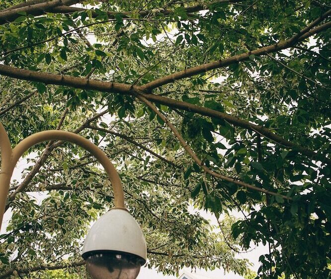 فندق Middleton Beach By The Bnb Collection