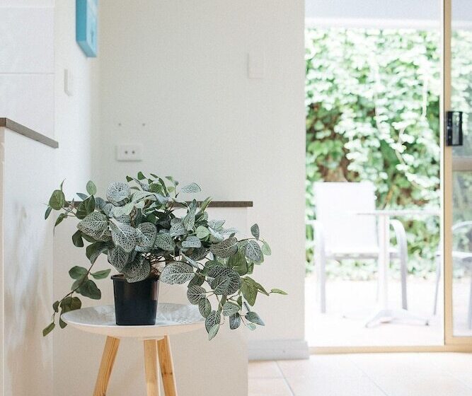 هتل Middleton Beach By The Bnb Collection