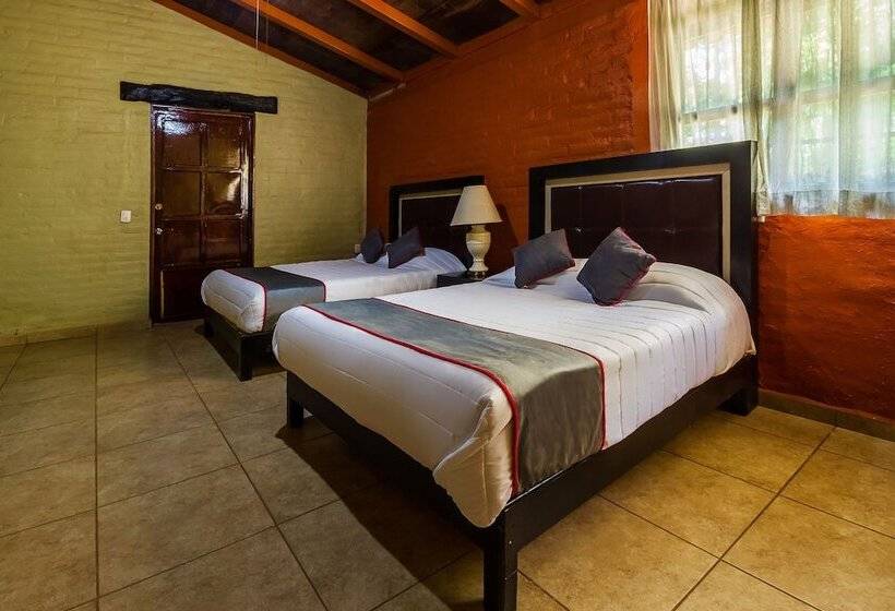 فندق ريفى Hacienda Coyotes