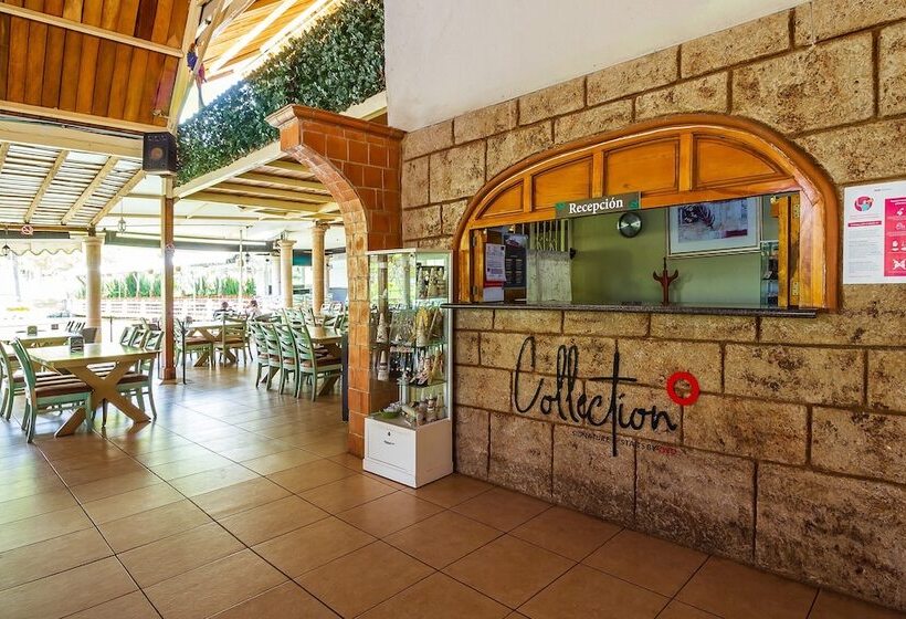 فندق ريفى Hacienda Coyotes