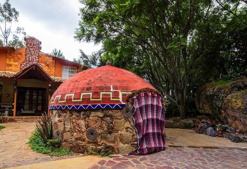 فندق ريفى Hacienda Coyotes