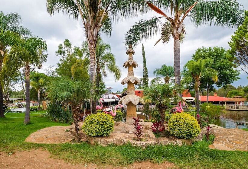 فندق ريفى Hacienda Coyotes