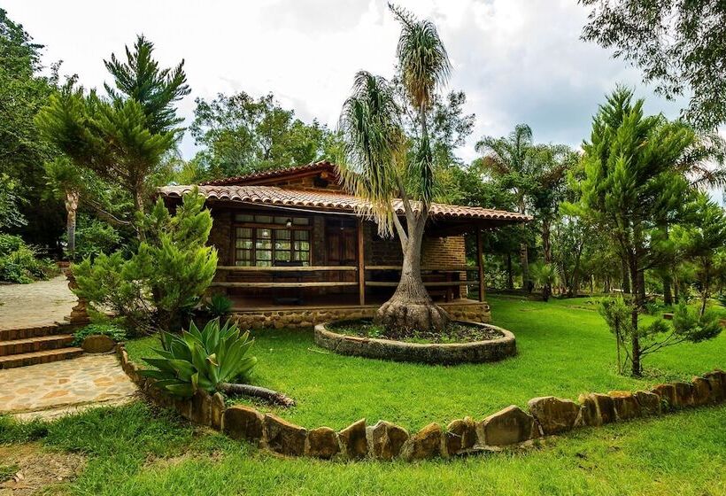 فندق ريفى Hacienda Coyotes