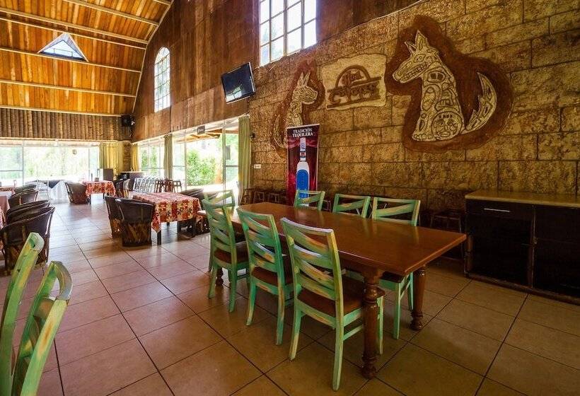 فندق ريفى Hacienda Coyotes