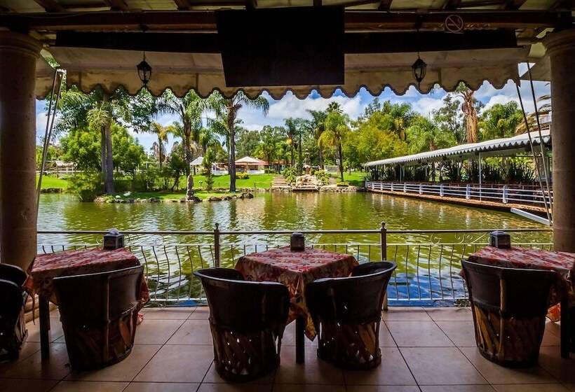 فندق ريفى Hacienda Coyotes