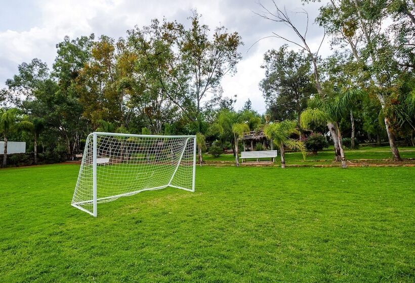 فندق ريفى Hacienda Coyotes