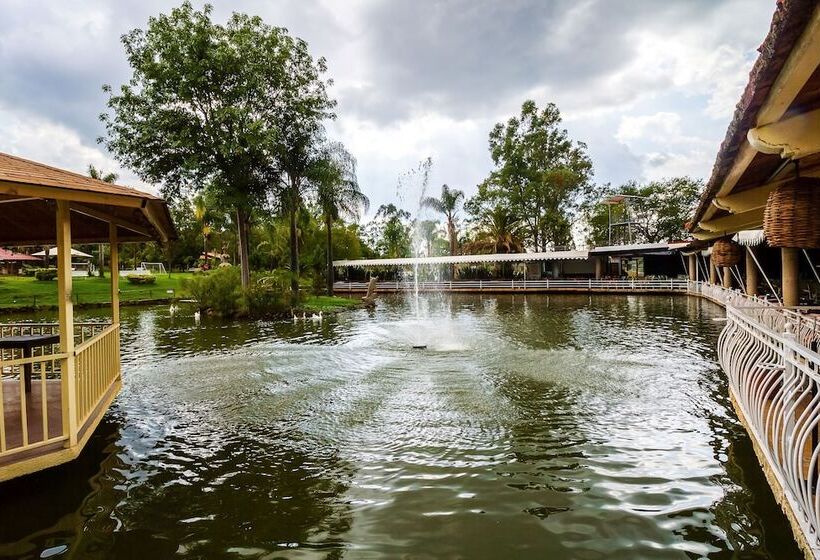 فندق ريفى Hacienda Coyotes