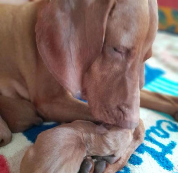 فندق Santo Refugio Heritage