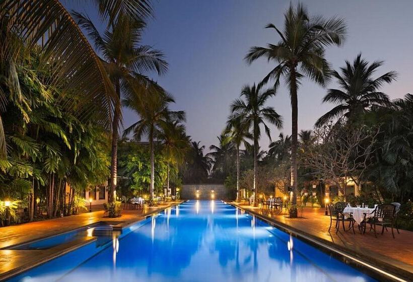 酒店 Sunray Village Resort