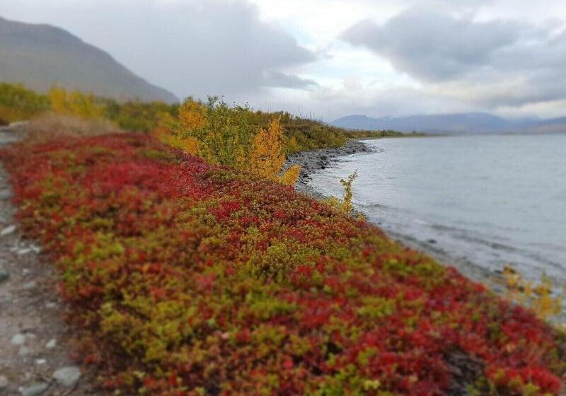 膳宿费 Abisko Turiststation Stf