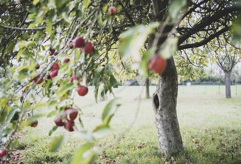 פנסיון Gîte Au Bout Du Verger