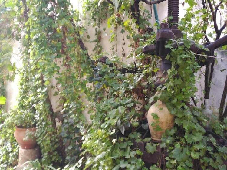 ペンション El Sueño De Lucrecia