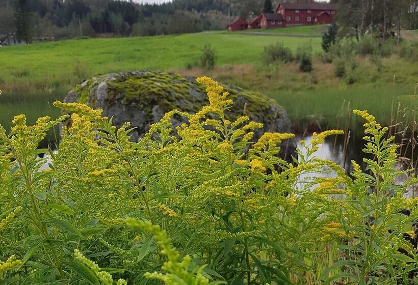 بنسيون Heddan Gard Gjestegard