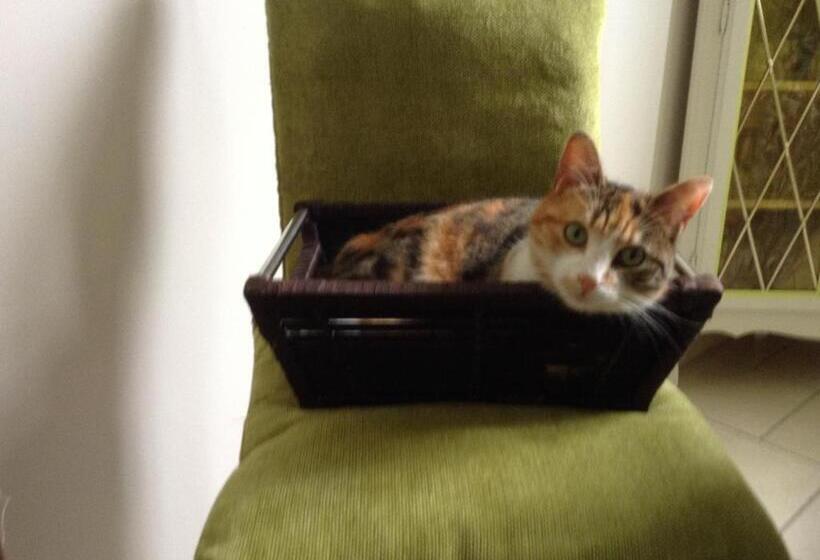 ペンション Le Jardin Des Poules