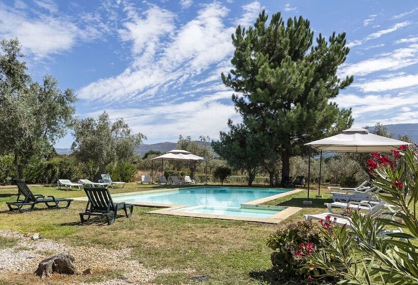 Пансион Quinta Do Chão Da Vinha