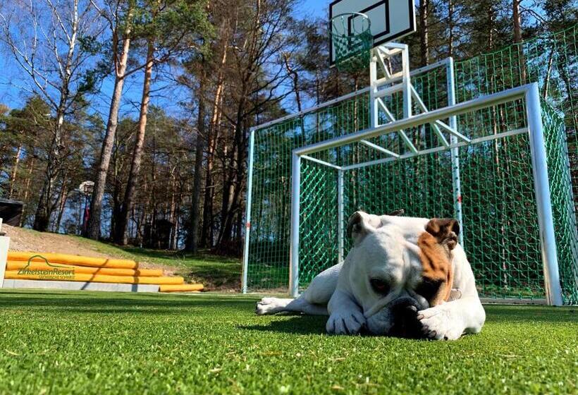 ペンション Zirkelsteinresort